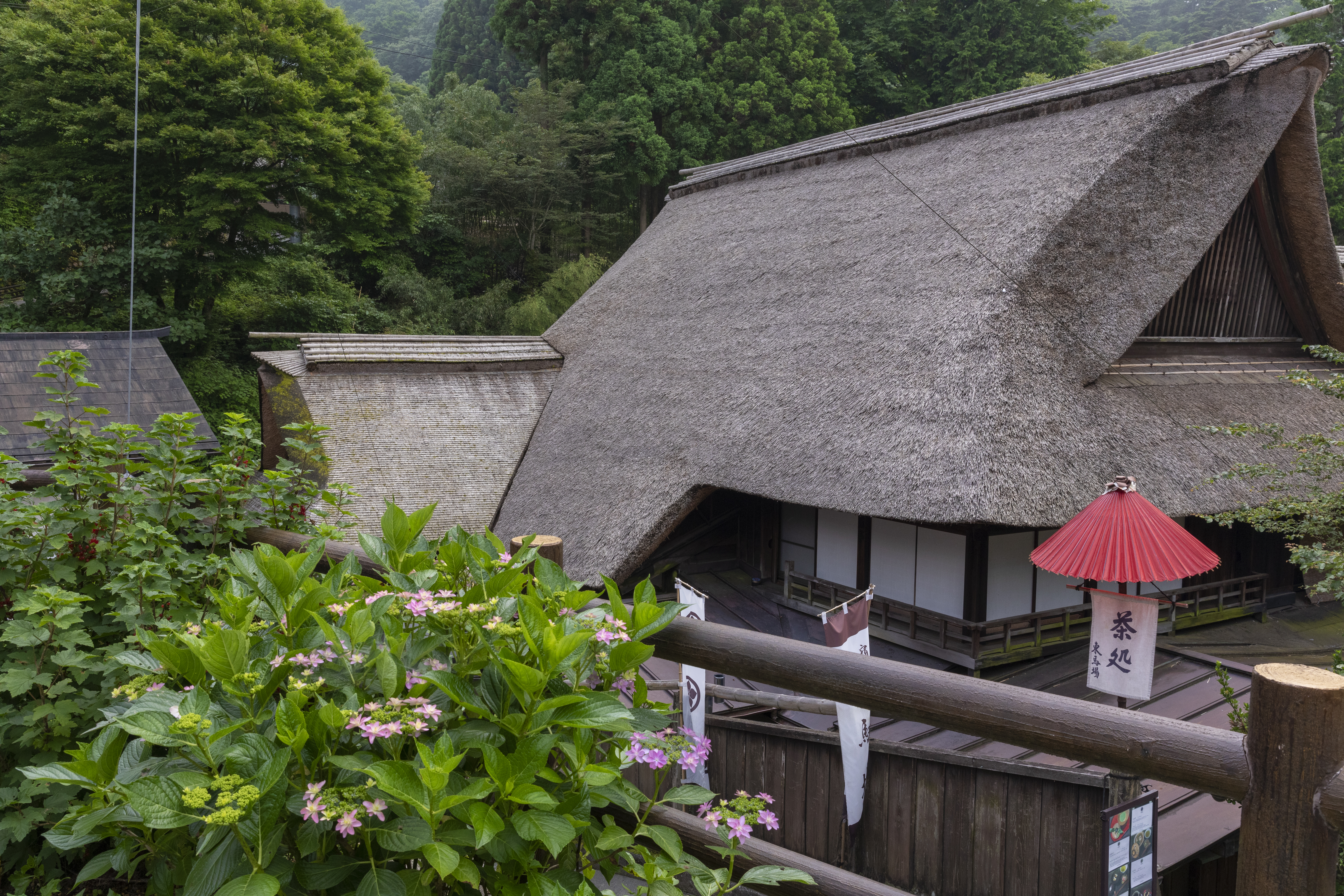 Sacred mountains and hidden rivers | Japan Experience